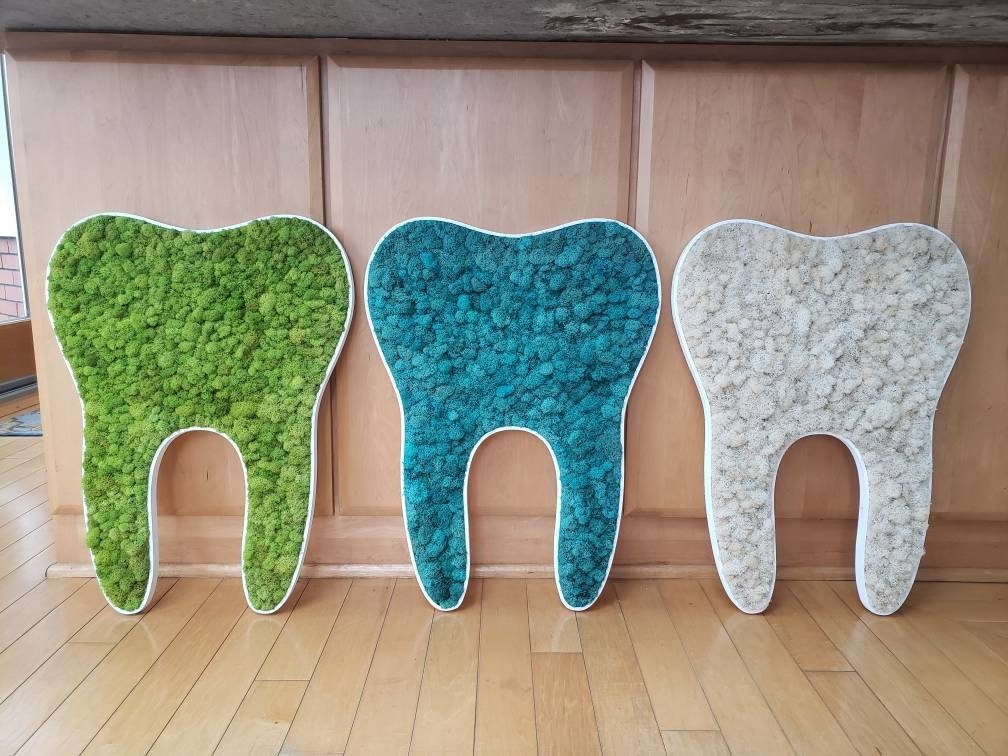Preserved Moss Tooth for Dentist Offices - Mossy Moss by Olia