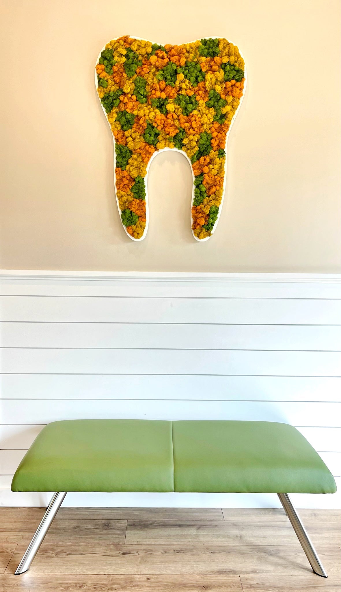 Preserved Moss Tooth for Dentist Offices - Mossy Moss by Olia