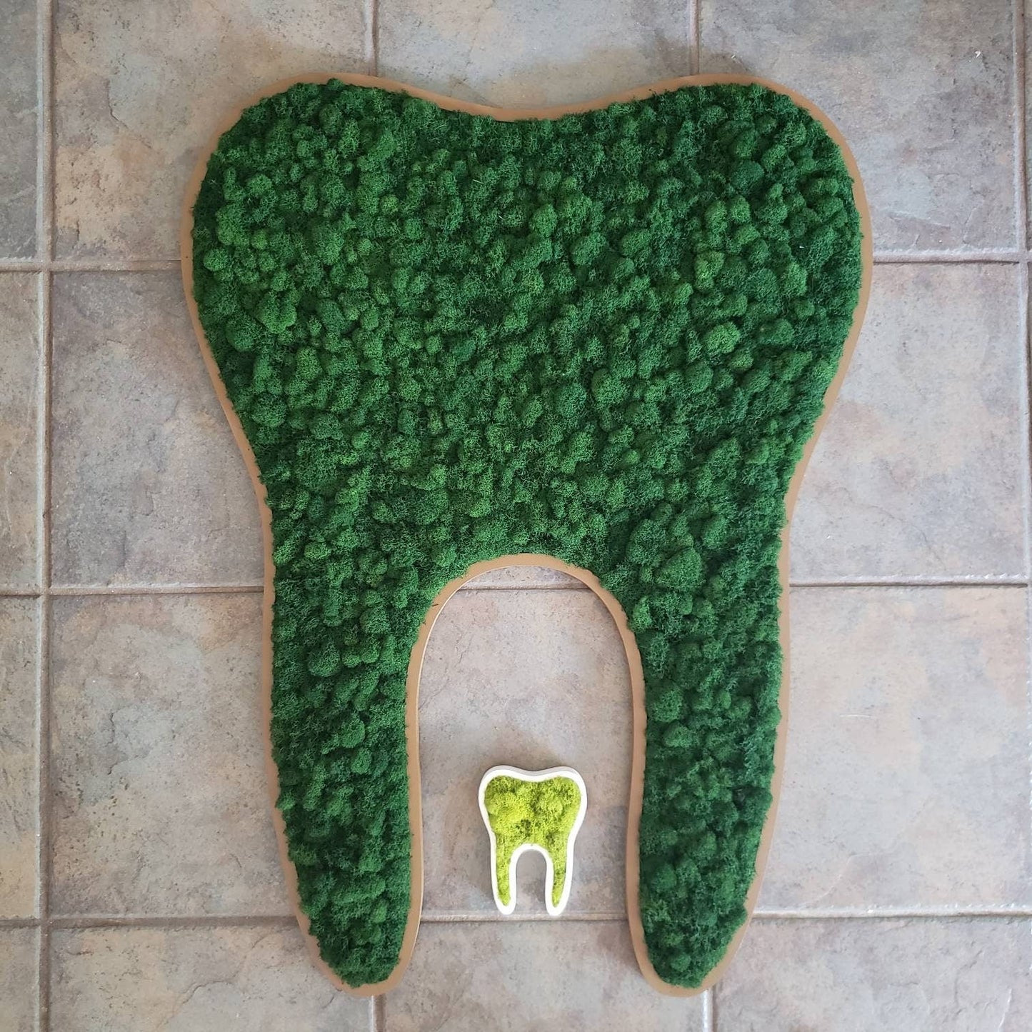 Preserved Moss Tooth for Dentist Offices - Mossy Moss by Olia