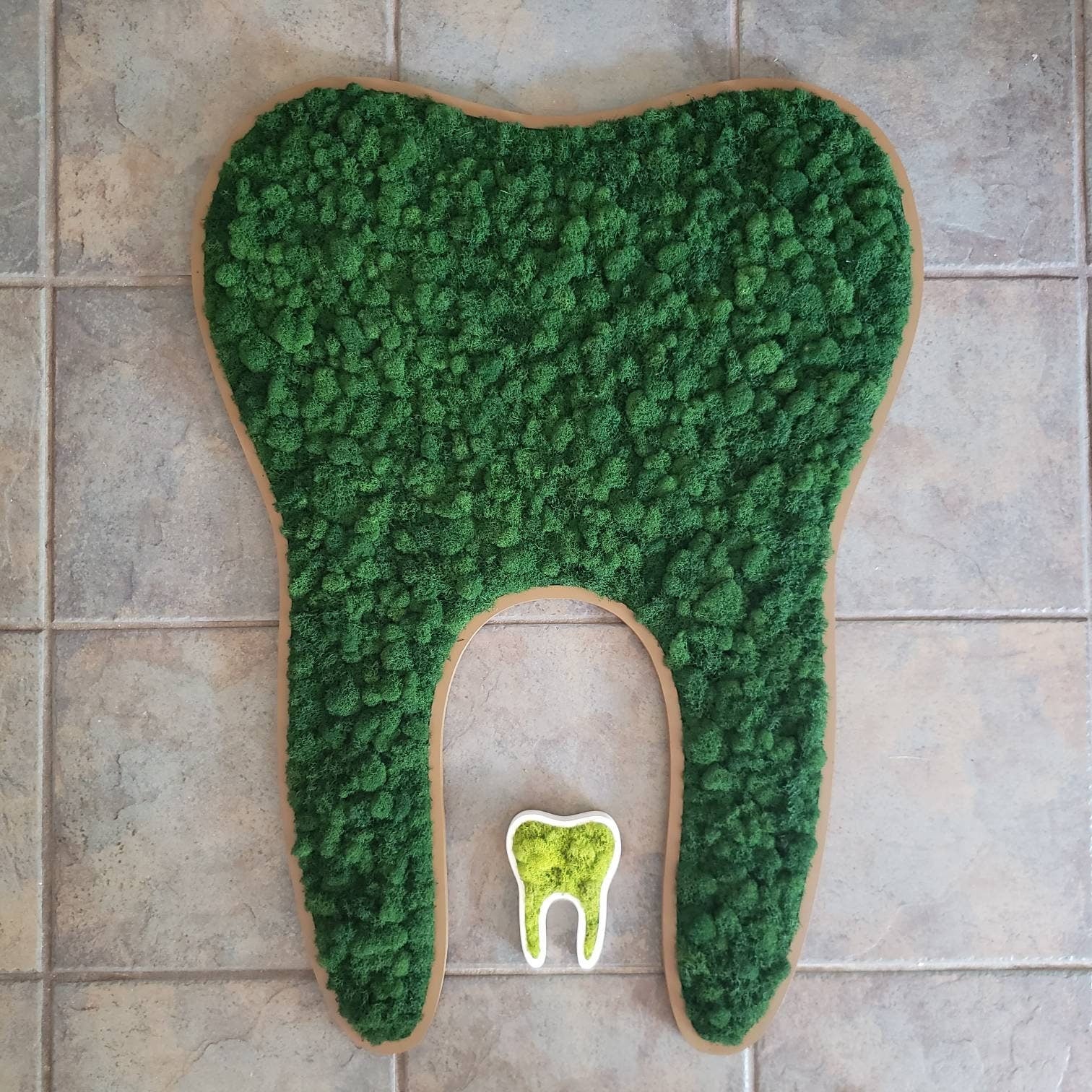 Preserved Moss Tooth for Dentist Offices - Mossy Moss by Olia