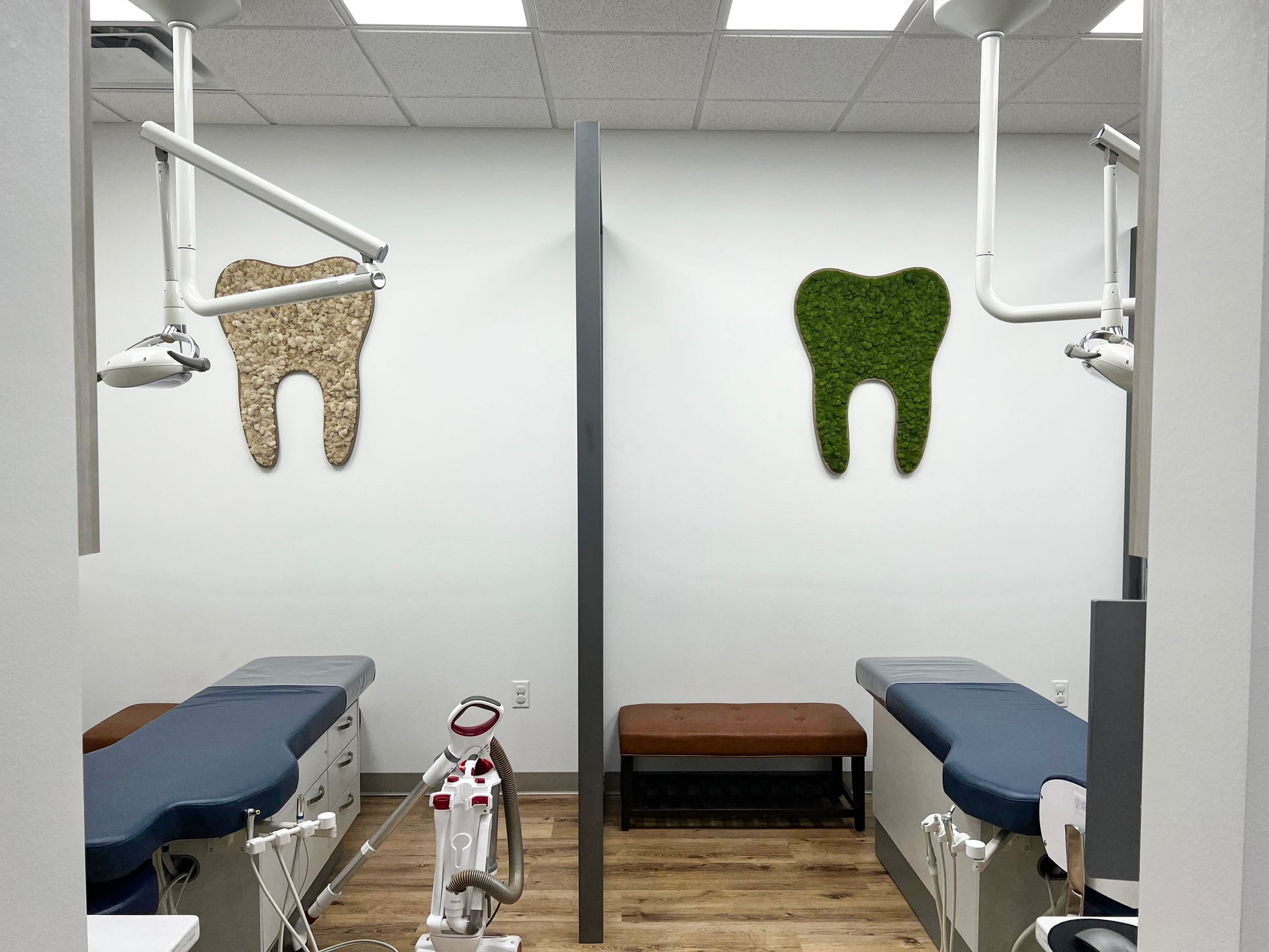 Preserved Moss Tooth for Dentist Offices - Mossy Moss by Olia