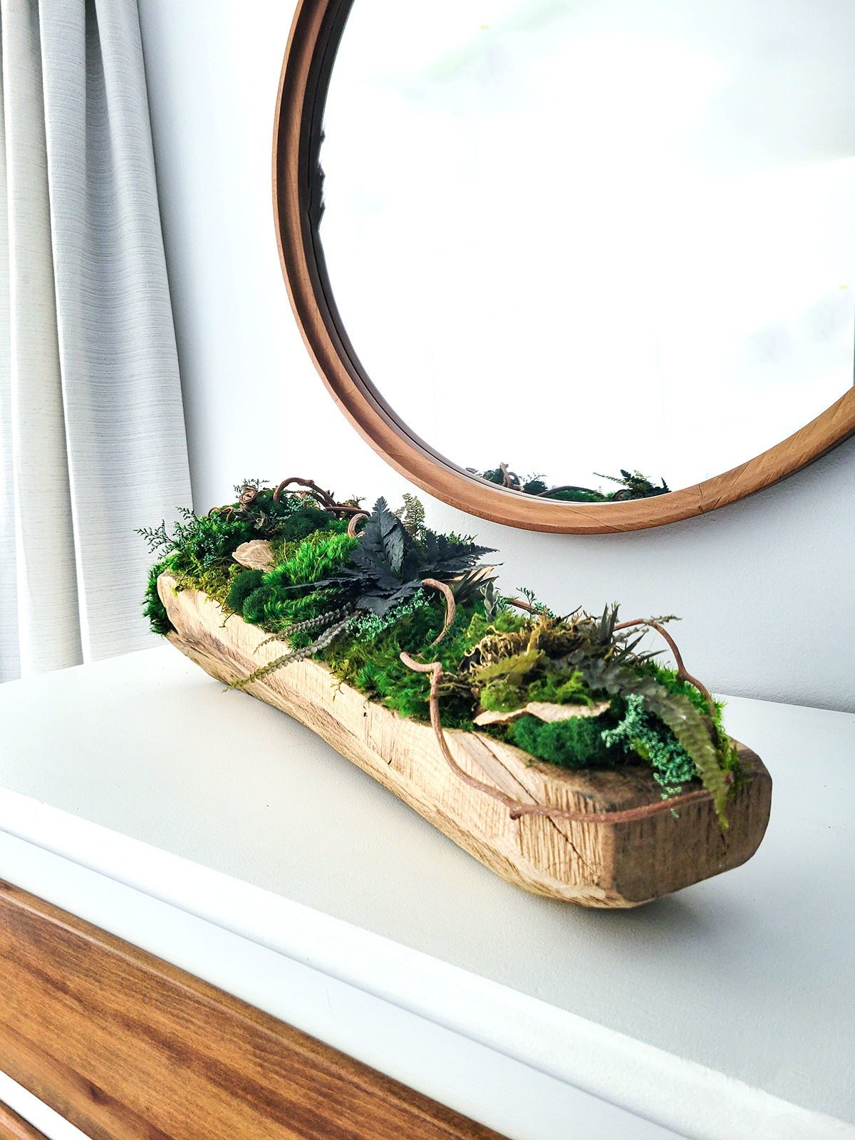 Preserved Moss & Wood Dining Table Centerpiece - Mossy Moss by Olia