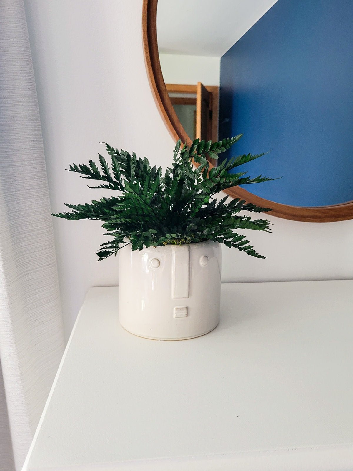 Preserved Potted Houseplant - Mossy Moss by Olia