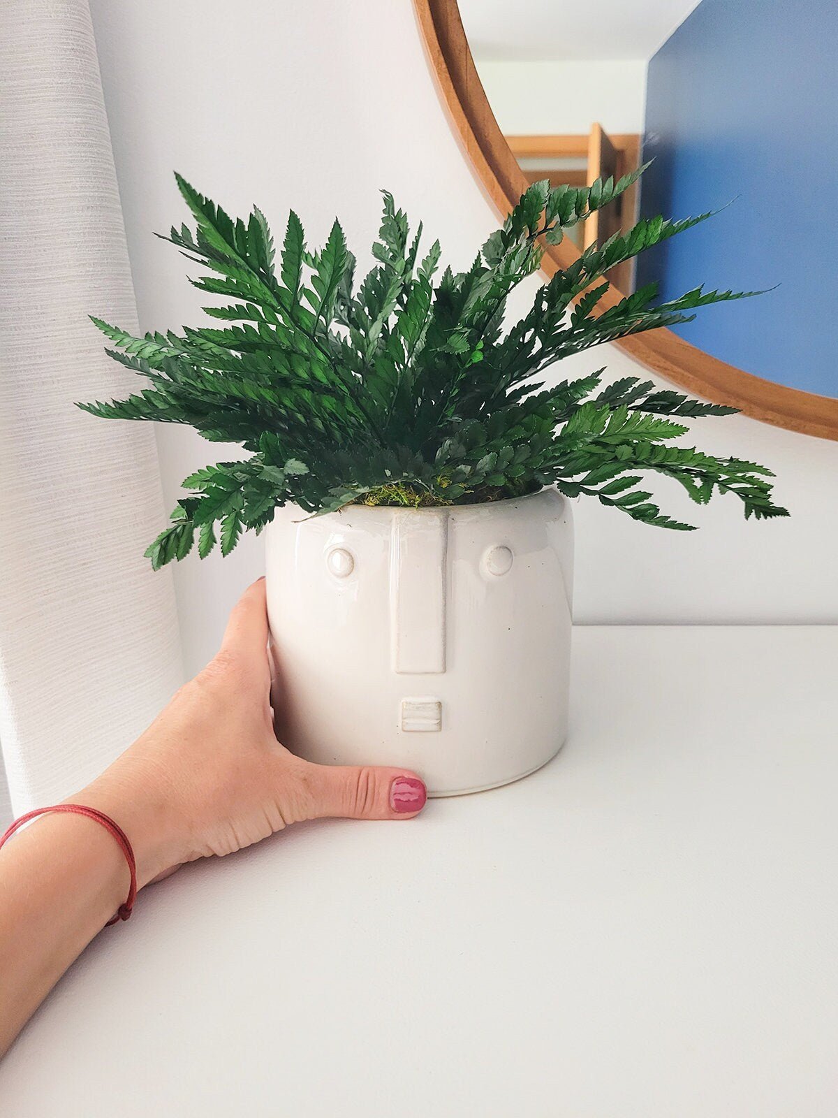 Preserved Potted Houseplant - Mossy Moss by Olia