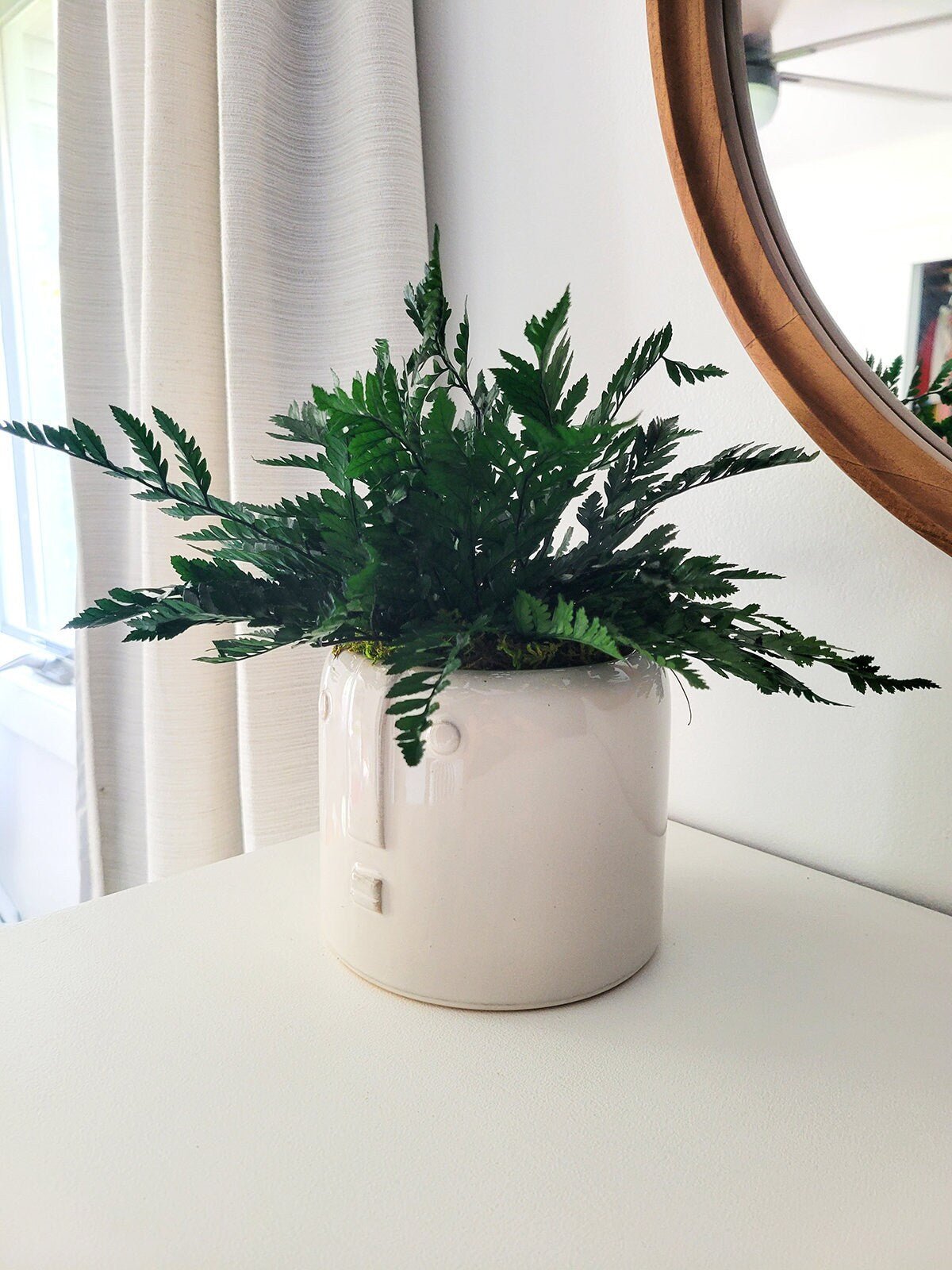 Preserved Potted Houseplant - Mossy Moss by Olia