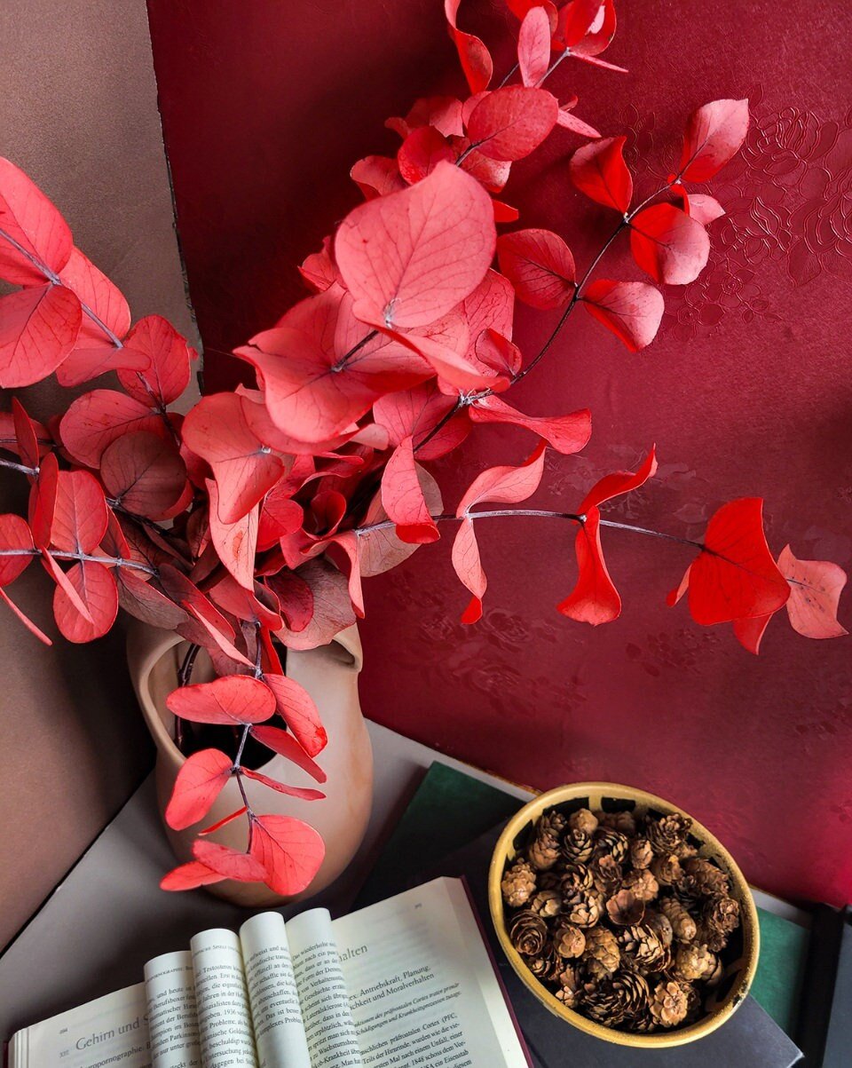 Preserved Red Spiral Eucalyptus - Mossy Moss by Olia