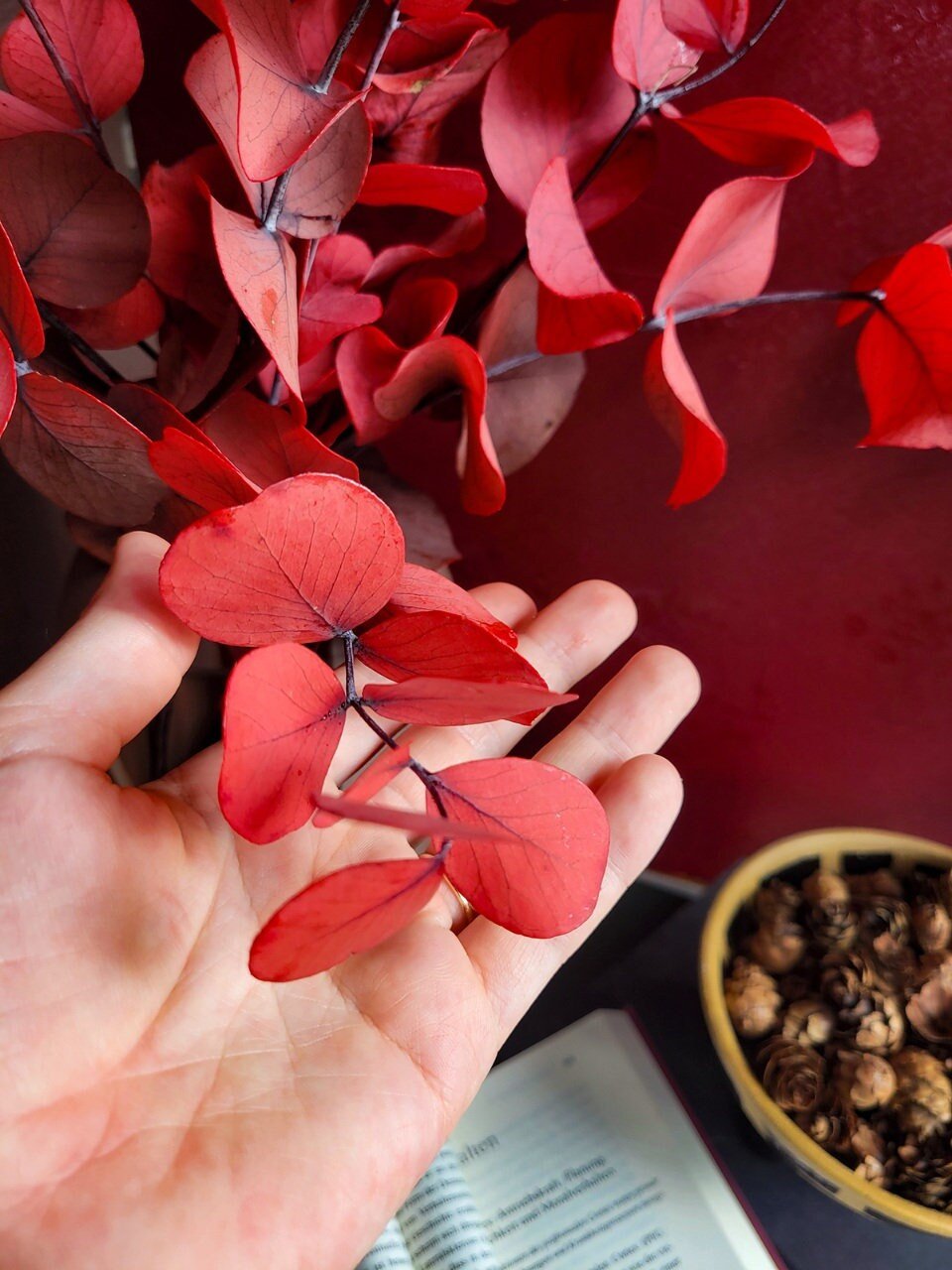 Preserved Red Spiral Eucalyptus - Mossy Moss by Olia