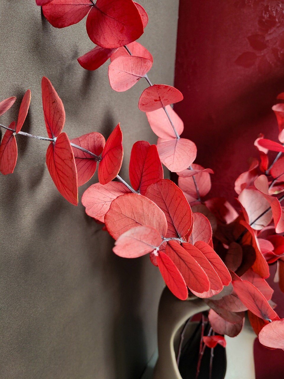 Preserved Red Spiral Eucalyptus - Mossy Moss by Olia