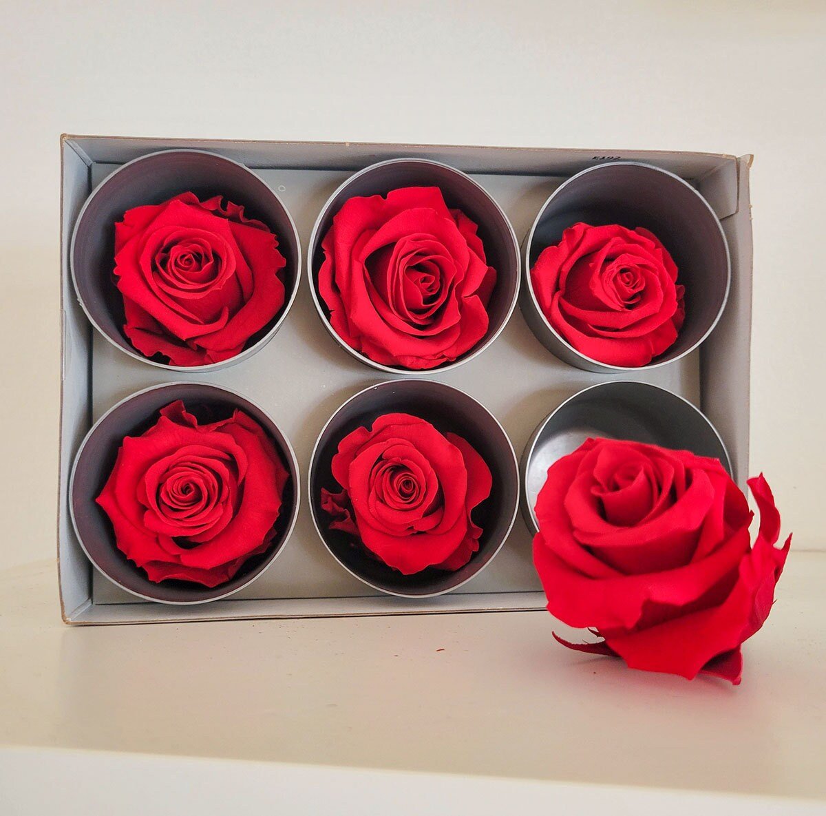 Preserved Rose Heads - Mossy Moss by Olia