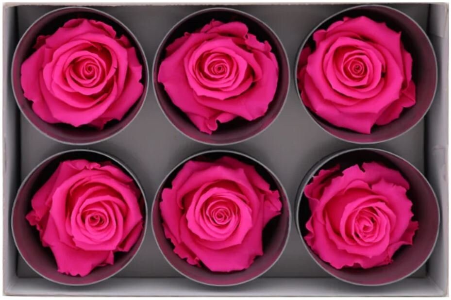 Preserved Rose Heads - Mossy Moss by Olia