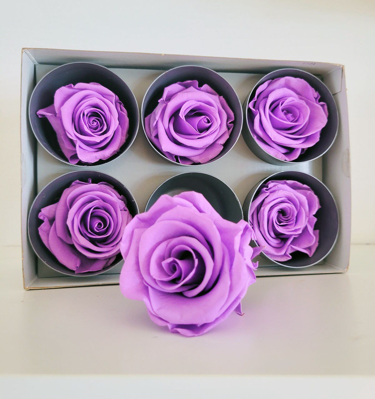 Preserved Rose Heads - Mossy Moss by Olia