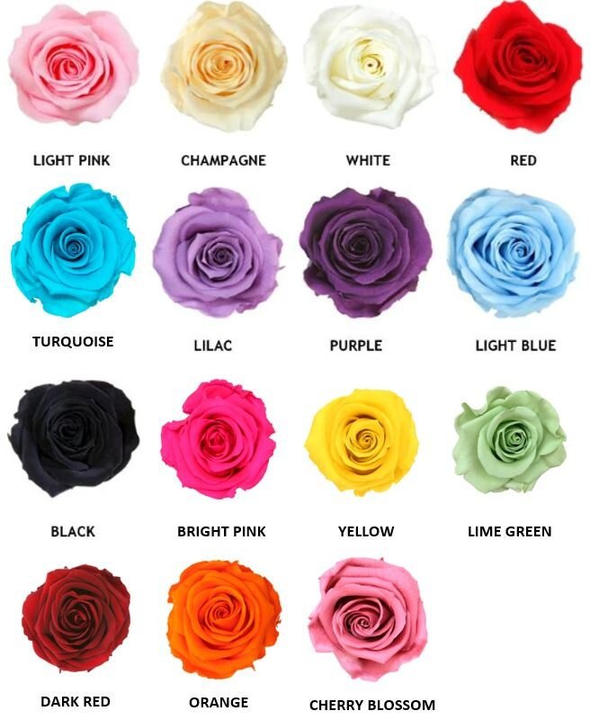 Preserved Rose Heads - Mossy Moss by Olia