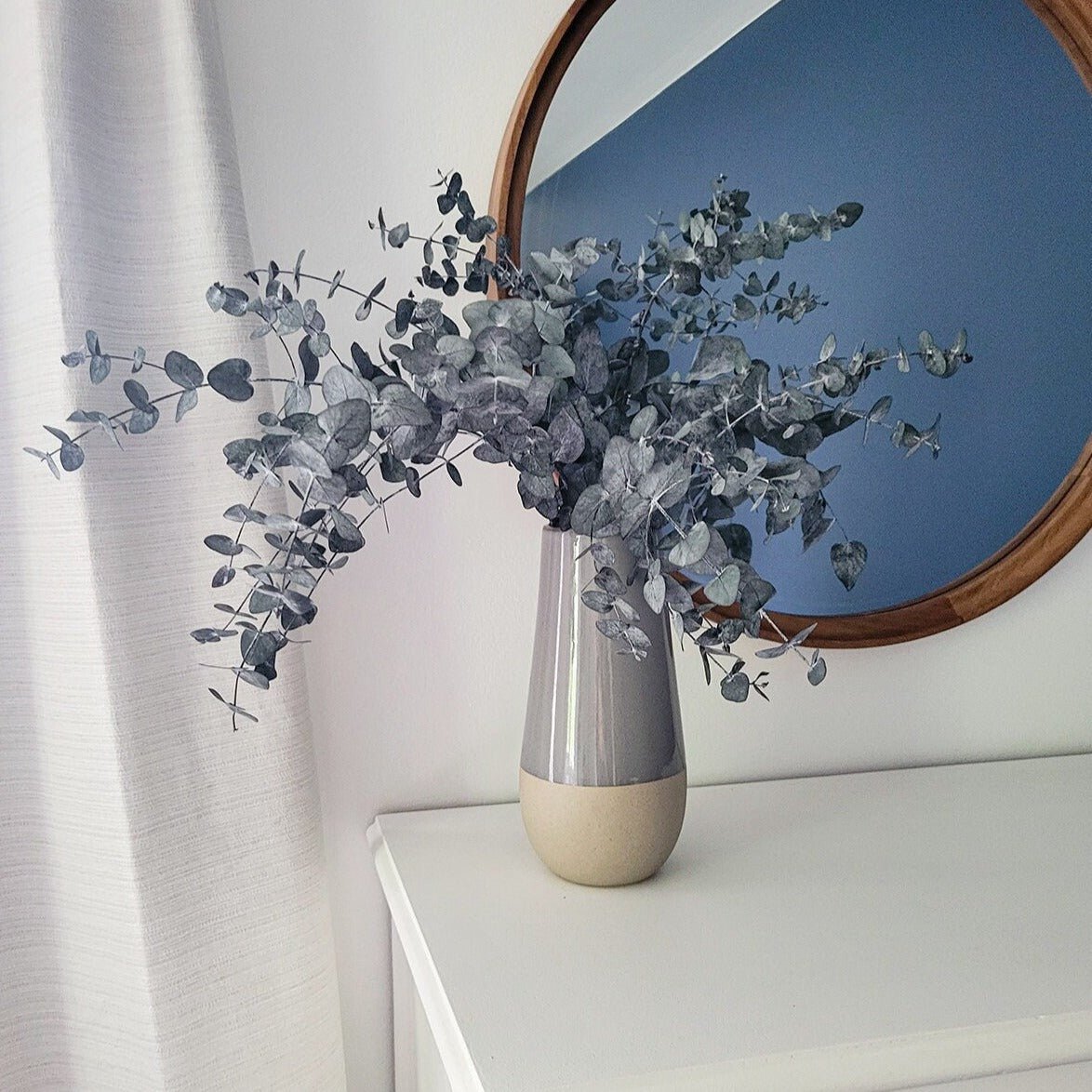 Preserved Silver Dollar Eucalyptus - Mossy Moss by Olia