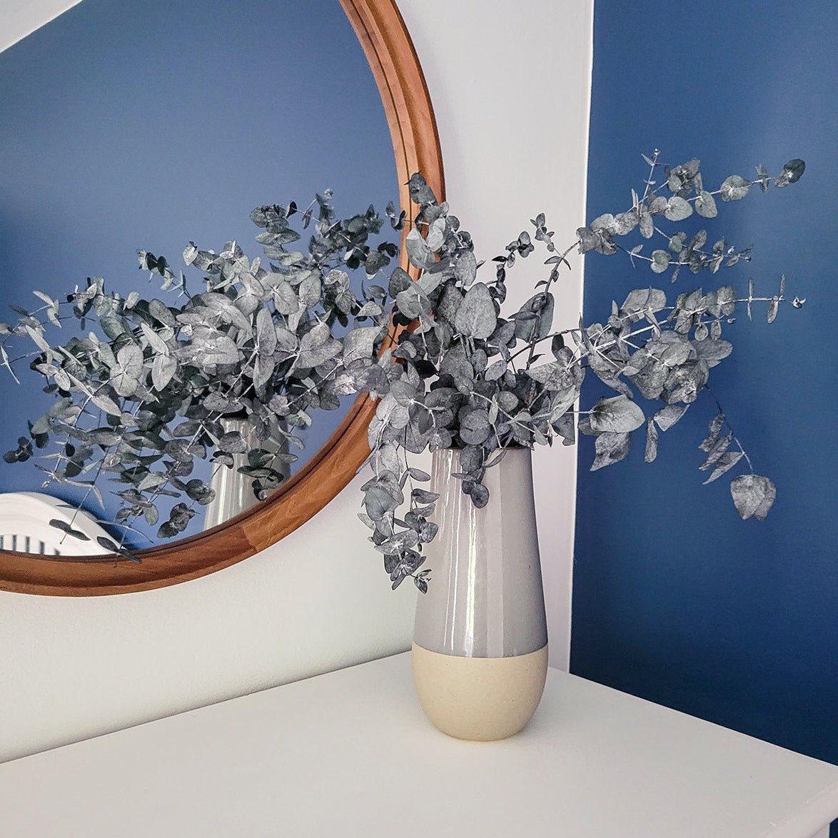 Preserved Silver Dollar Eucalyptus - Mossy Moss by Olia