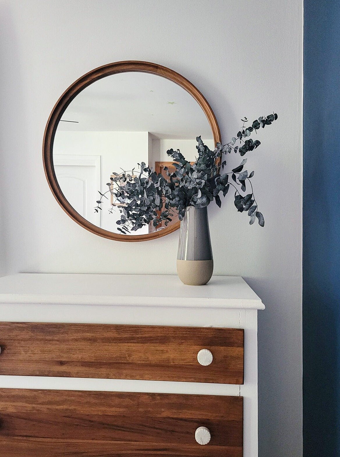 Preserved Silver Dollar Eucalyptus - Mossy Moss by Olia