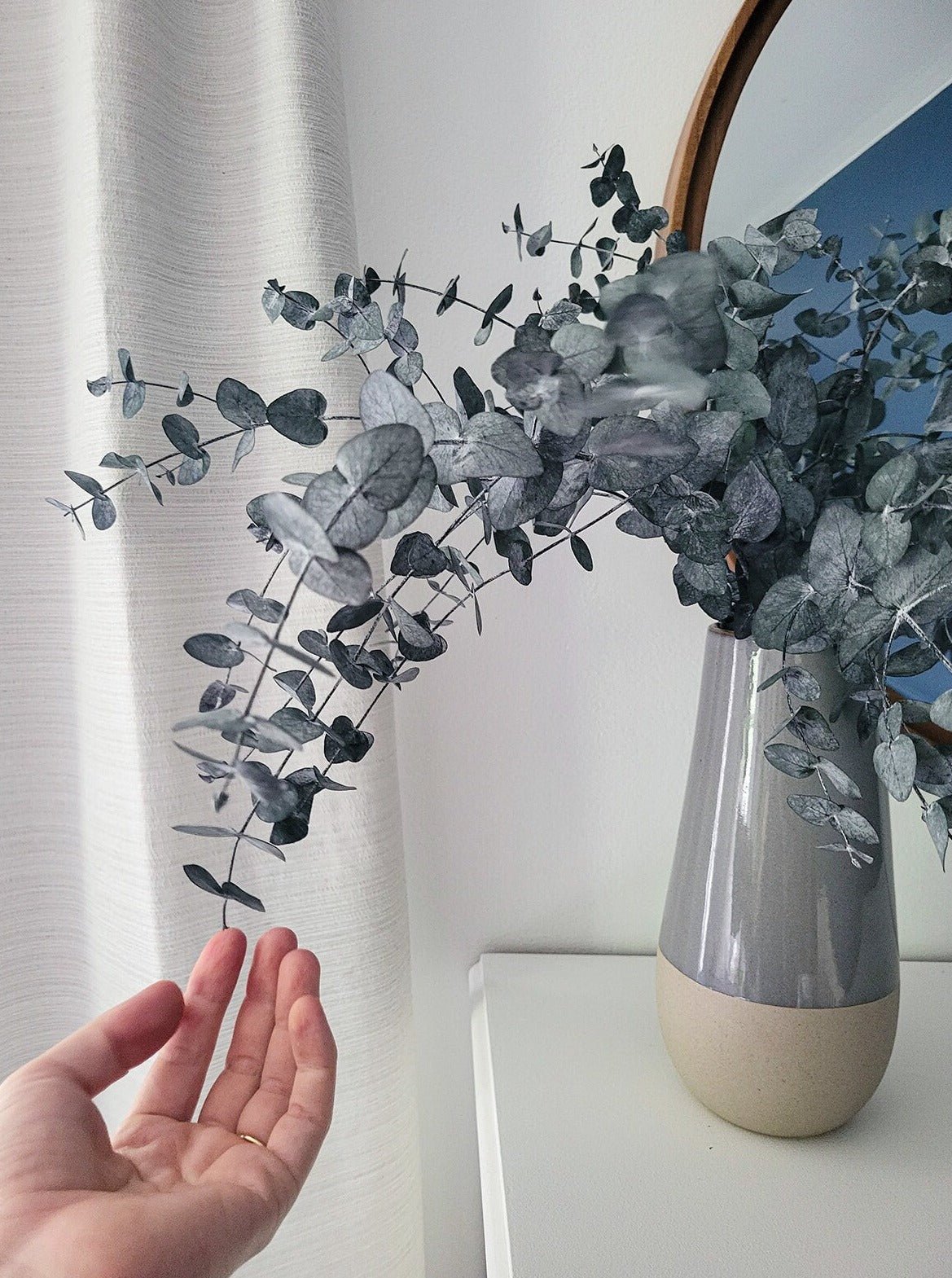 Preserved Silver Dollar Eucalyptus - Mossy Moss by Olia