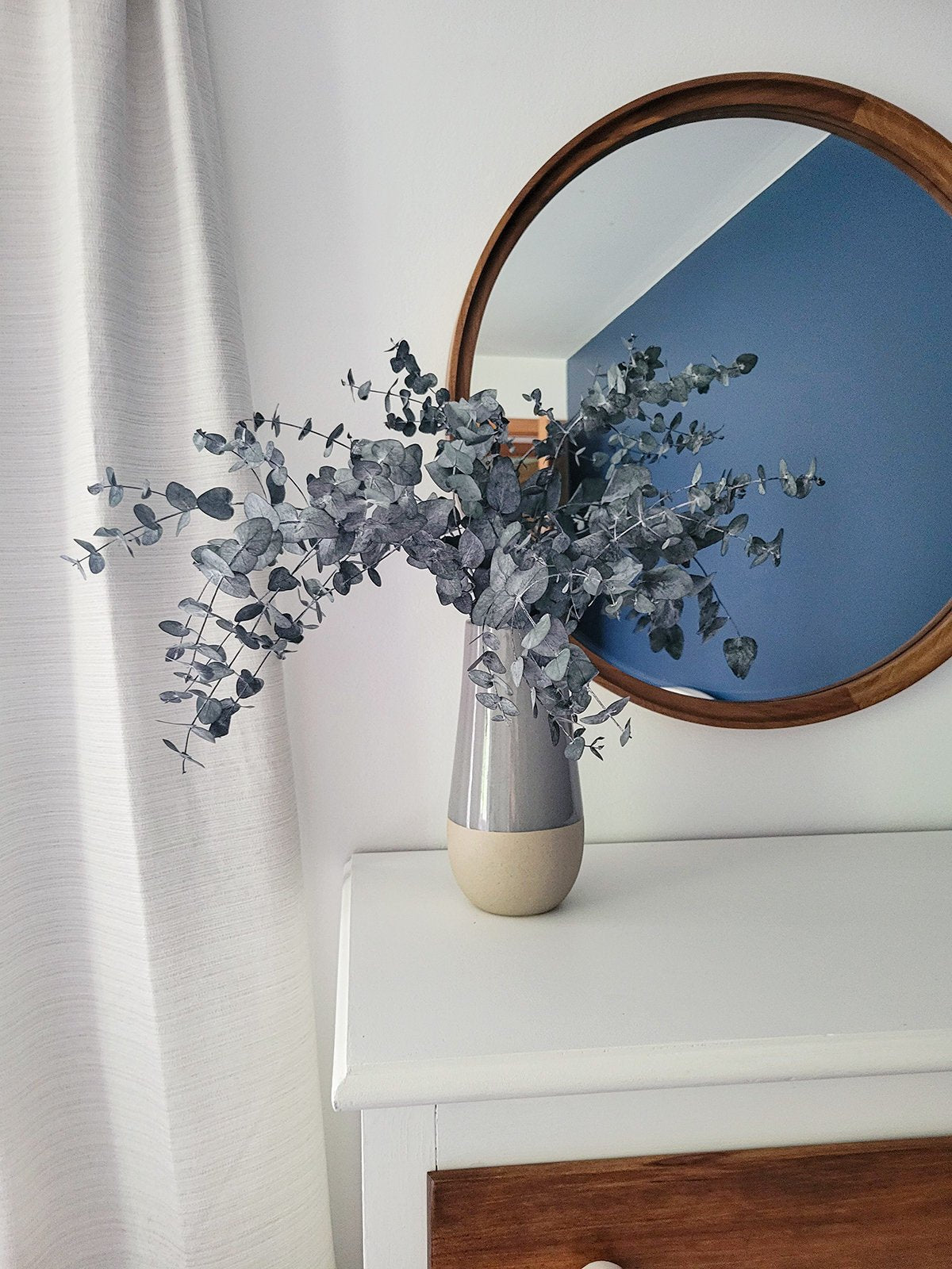 Preserved Silver Dollar Eucalyptus - Mossy Moss by Olia