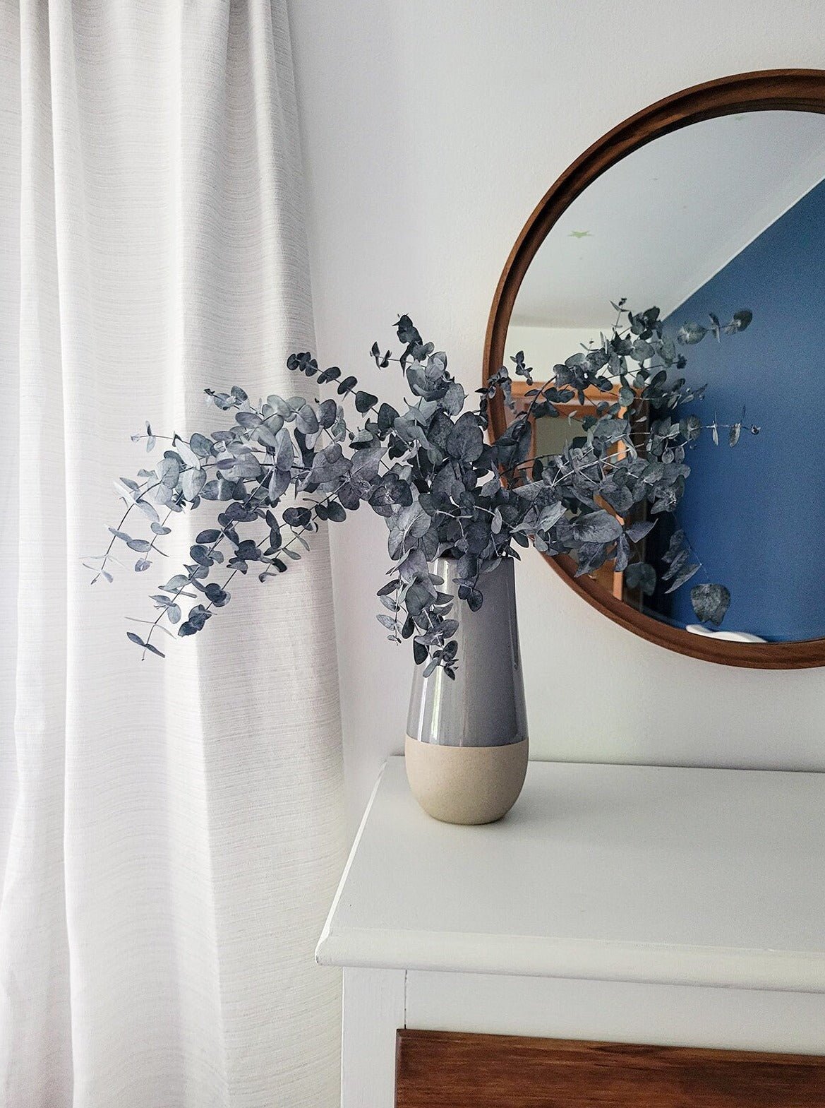 Preserved Silver Dollar Eucalyptus - Mossy Moss by Olia