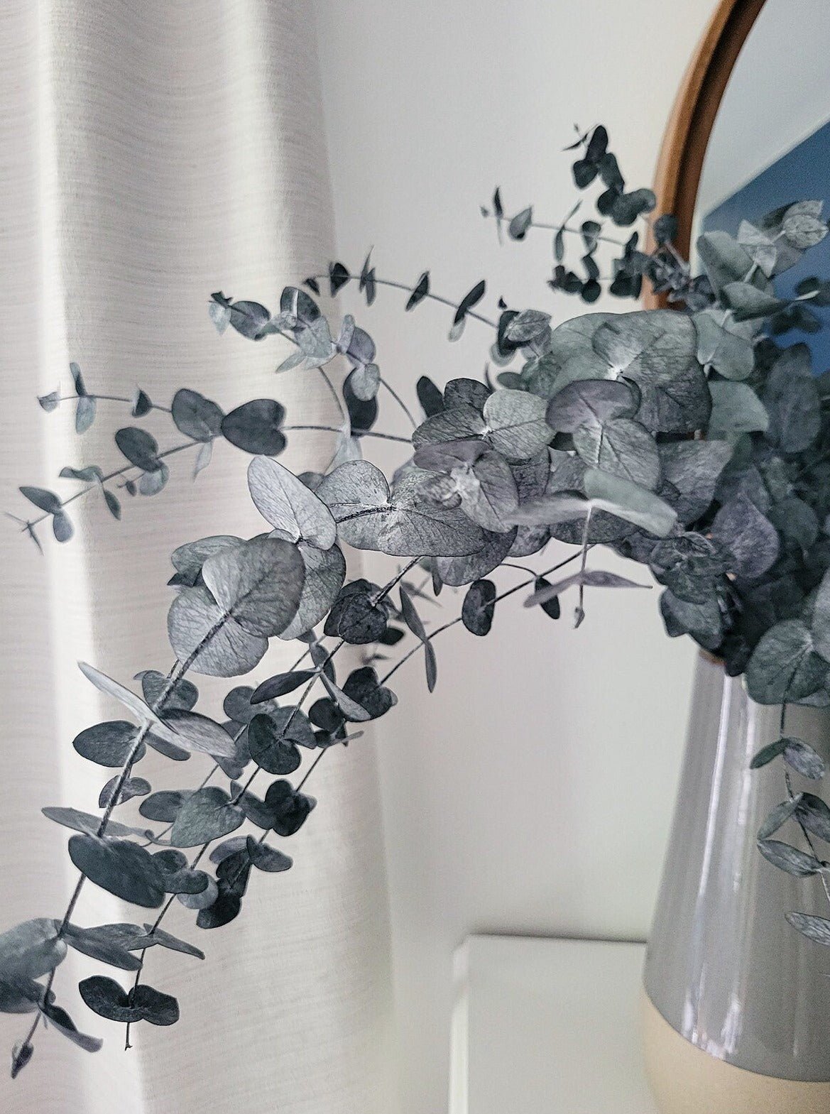 Preserved Silver Dollar Eucalyptus - Mossy Moss by Olia