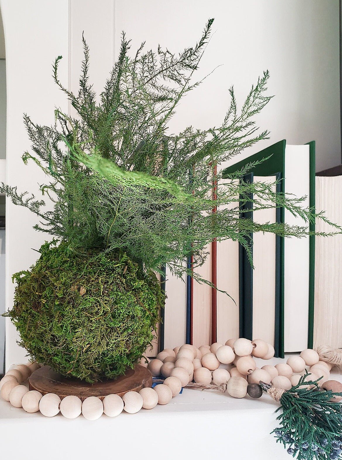 Real preserved Featherleaf Fern & Moss Kokedama - Mossy Moss by Olia
