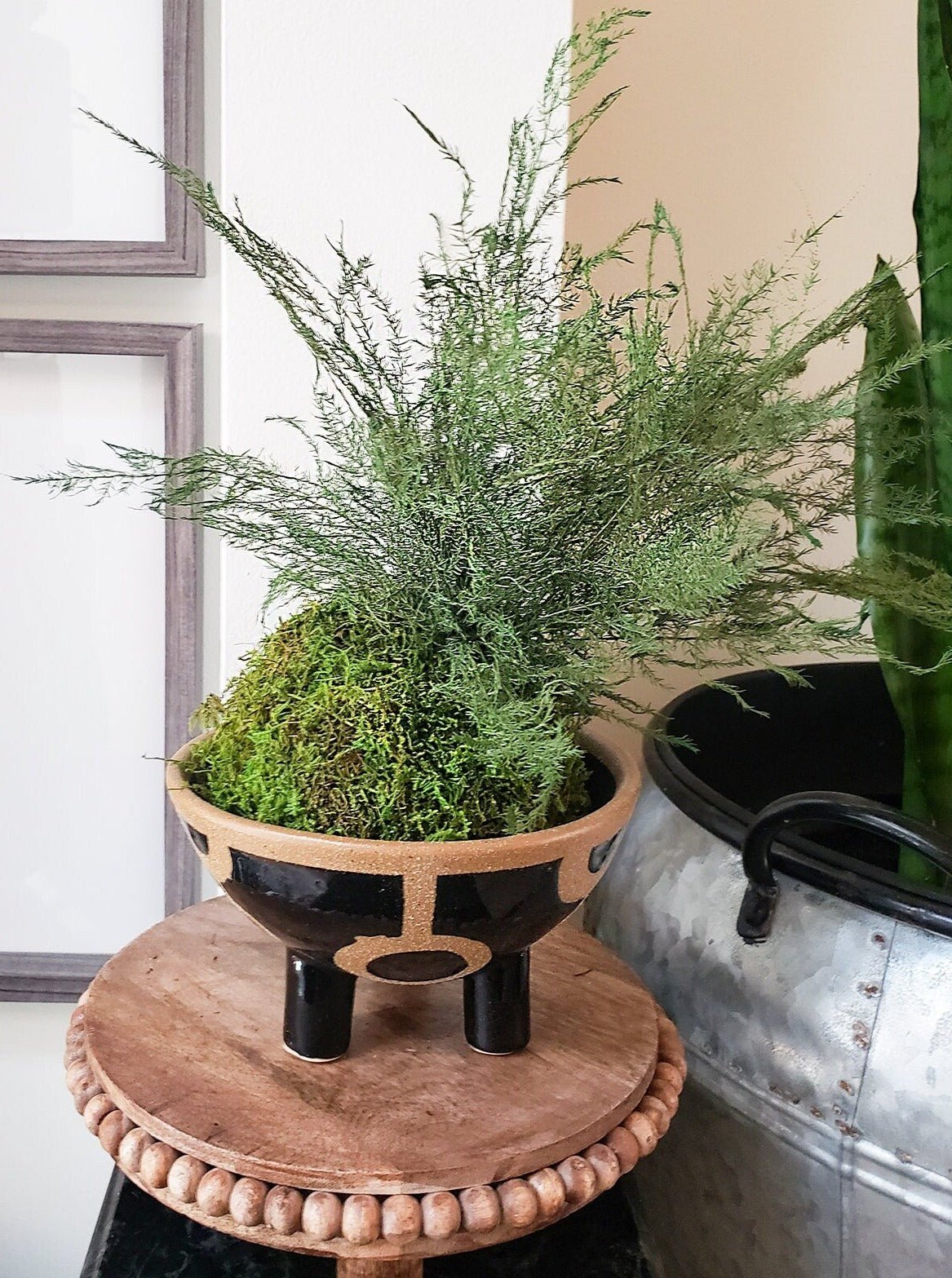 Real preserved Featherleaf Fern & Moss Kokedama - Mossy Moss by Olia