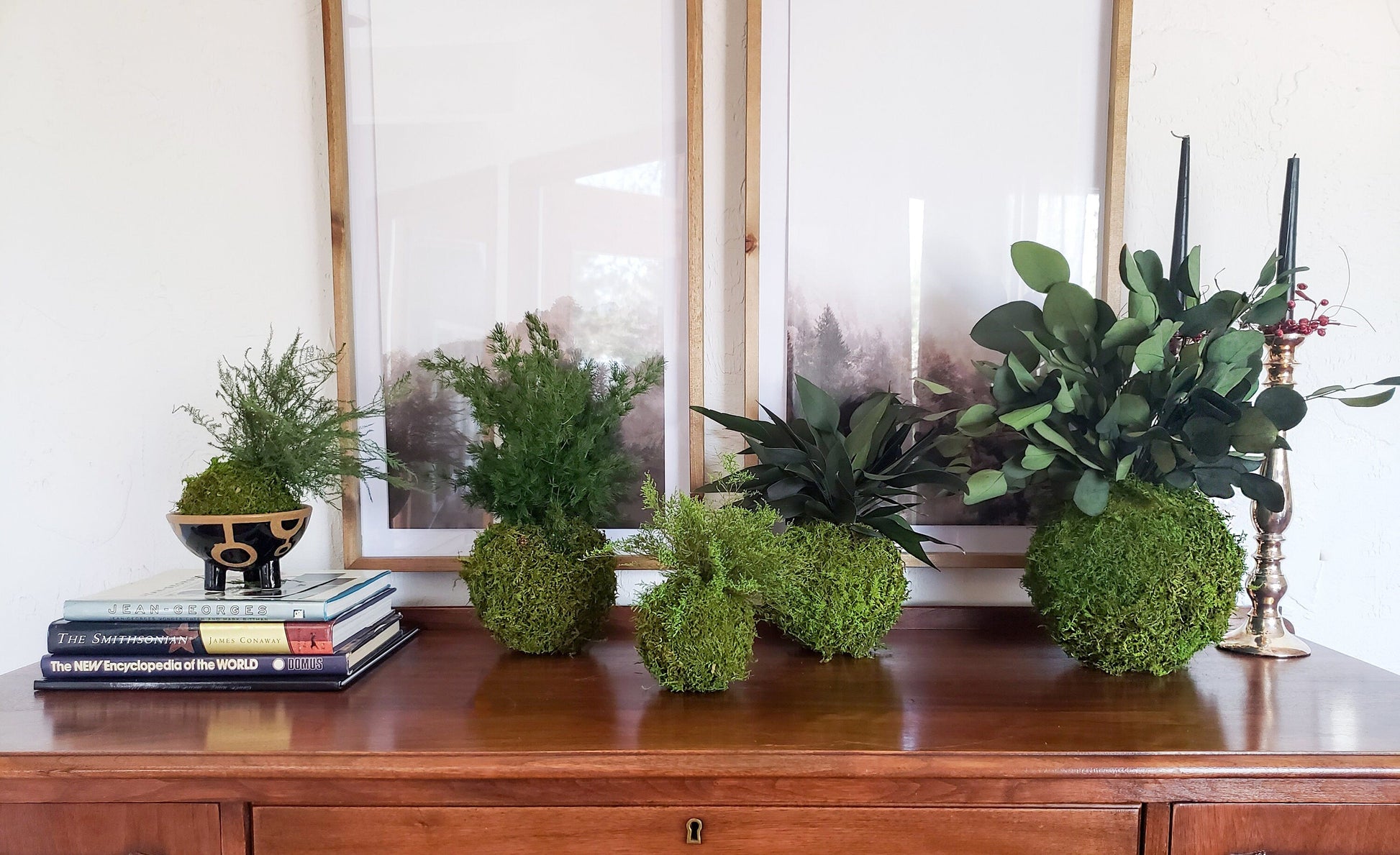 Real preserved Featherleaf Fern & Moss Kokedama - Mossy Moss by Olia