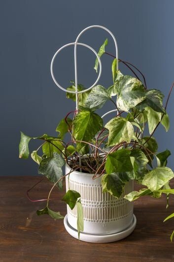 geometric plant trellis White Metal Geometric Plant Stick Trellis
