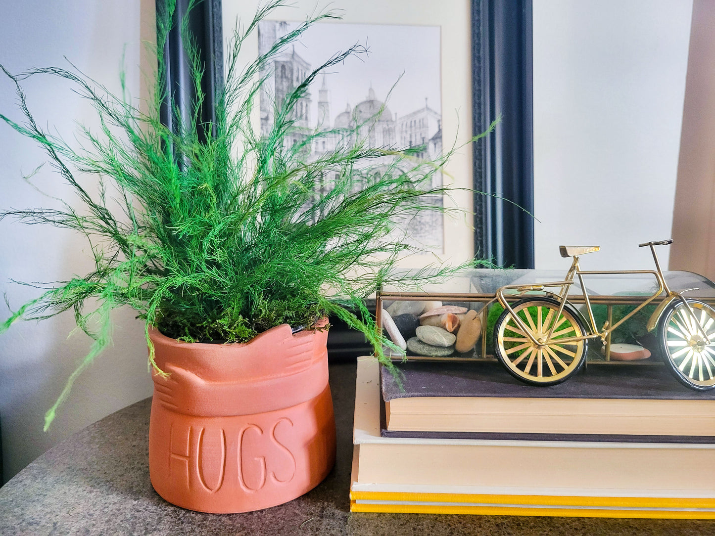 Preserved Potted Green Asparagus Fern