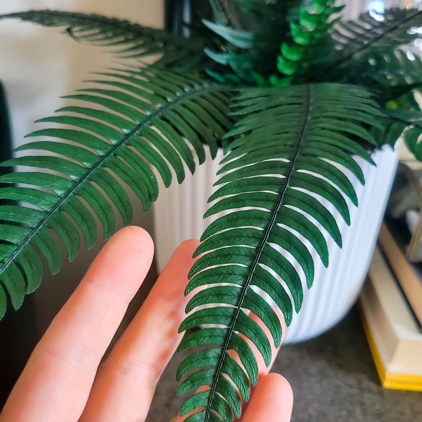 Preserved Potted Green Rock Fern