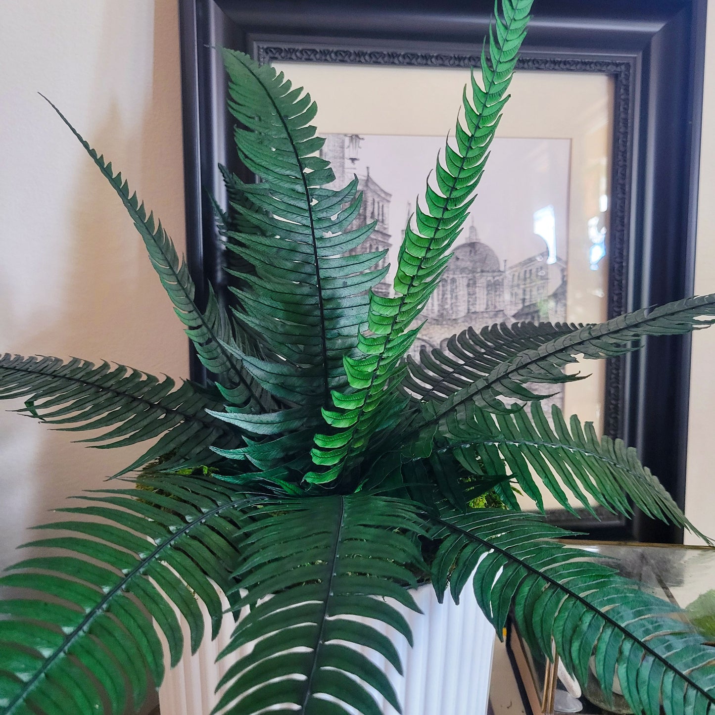 Preserved Potted Green Rock Fern