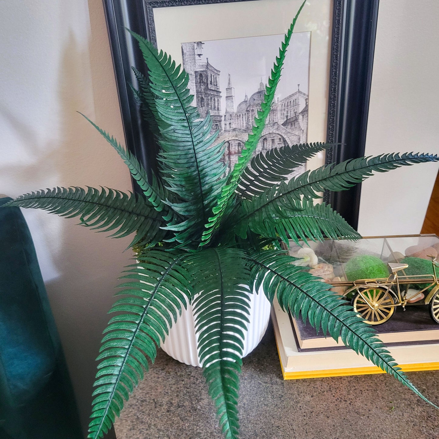 Preserved Potted Green Rock Fern