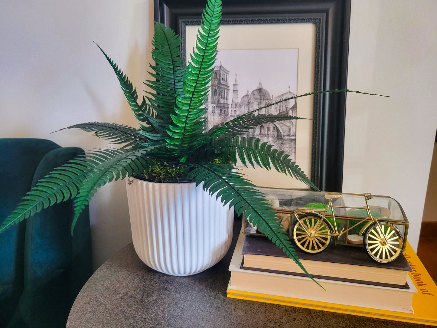 Preserved Potted Green Rock Fern