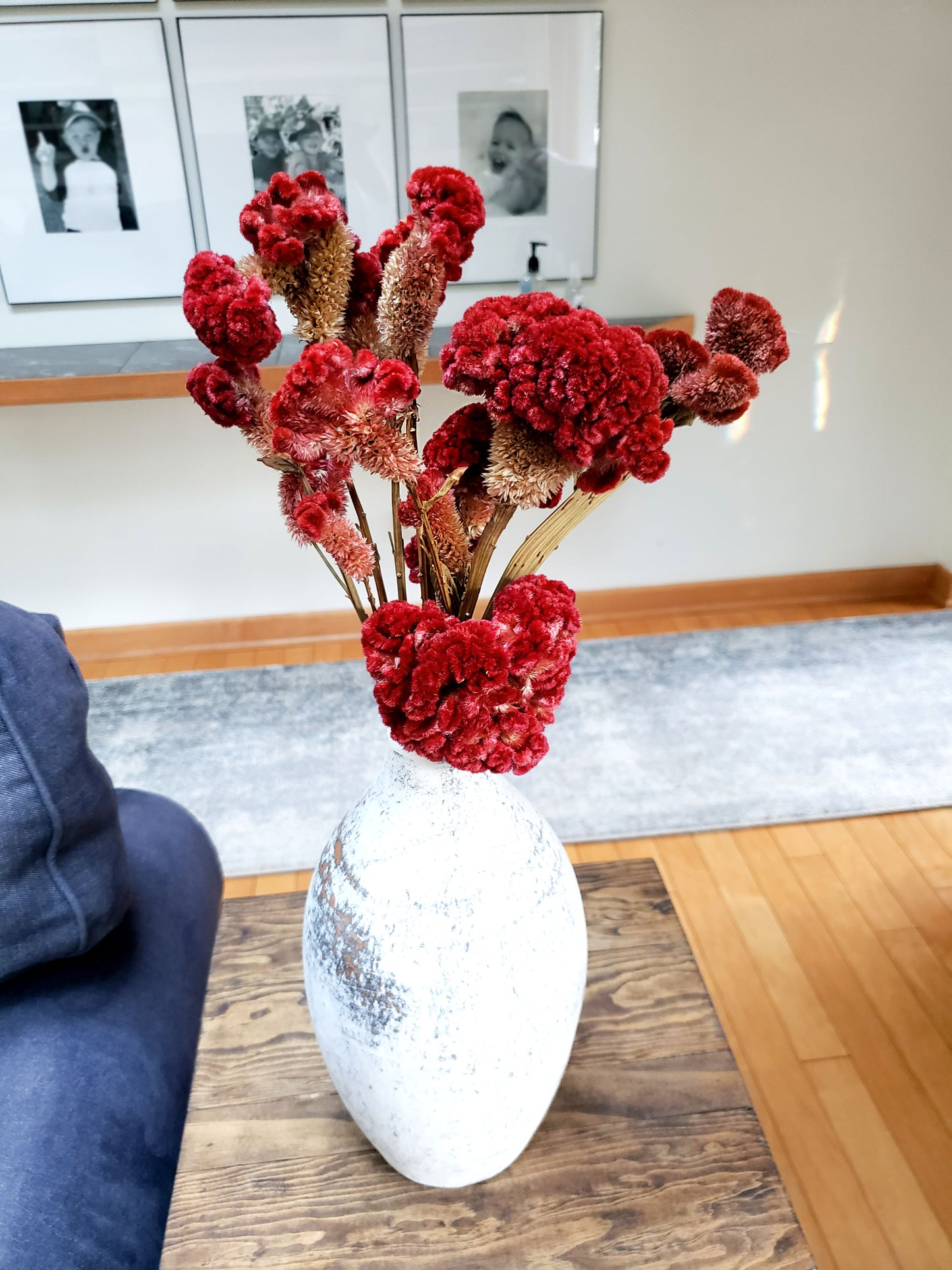 Dried Red Cockscomb Celosia Bundle