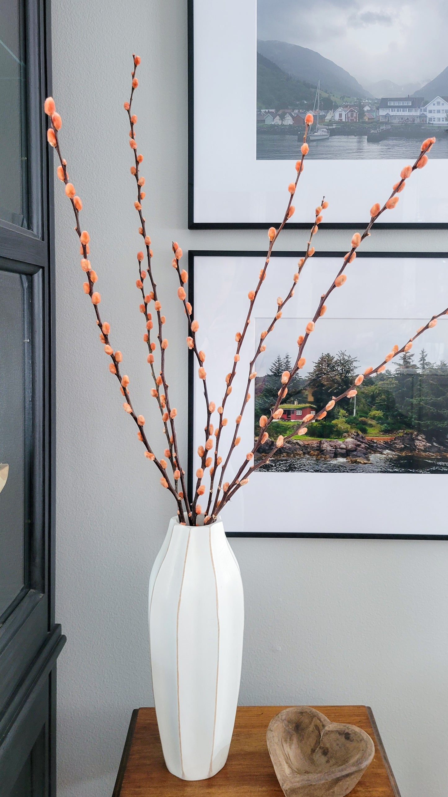 Preserved Dried Pussy Willow Branches