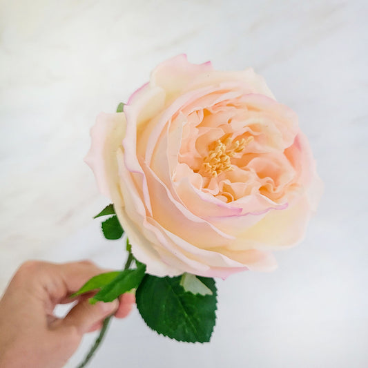 Real Touch Blush Pink 17" English Rose