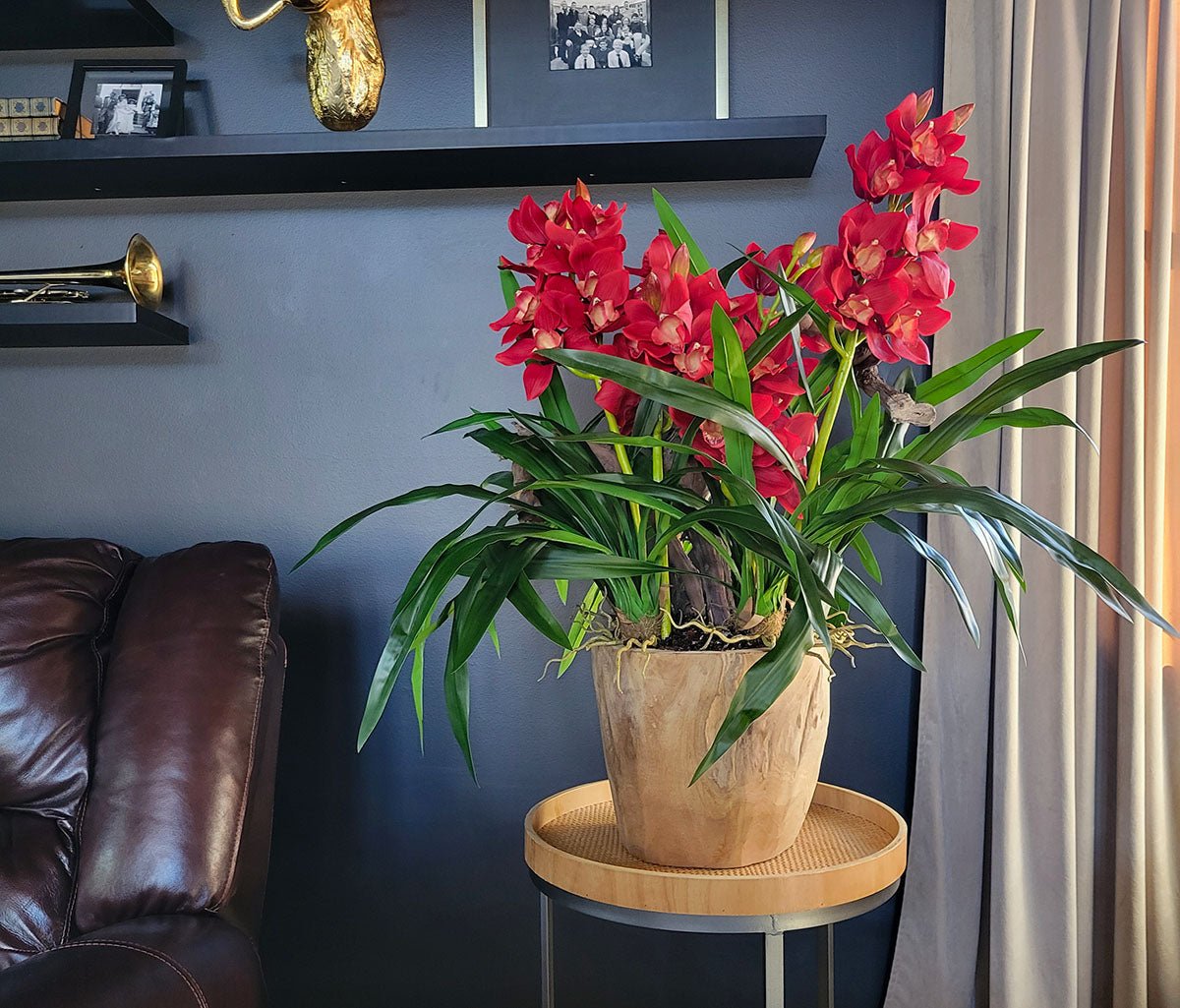 Artificial Red Cymbidium Orchids in hand - carved wooden pot - Mossy Moss by Olia