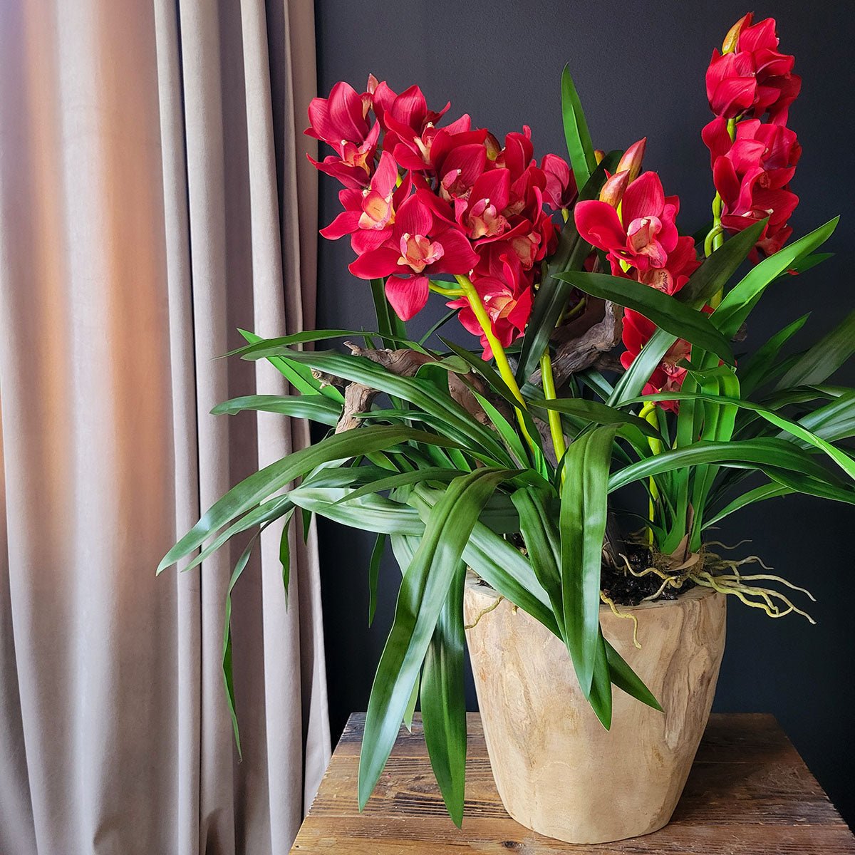 Artificial Red Cymbidium Orchids in hand - carved wooden pot - Mossy Moss by Olia