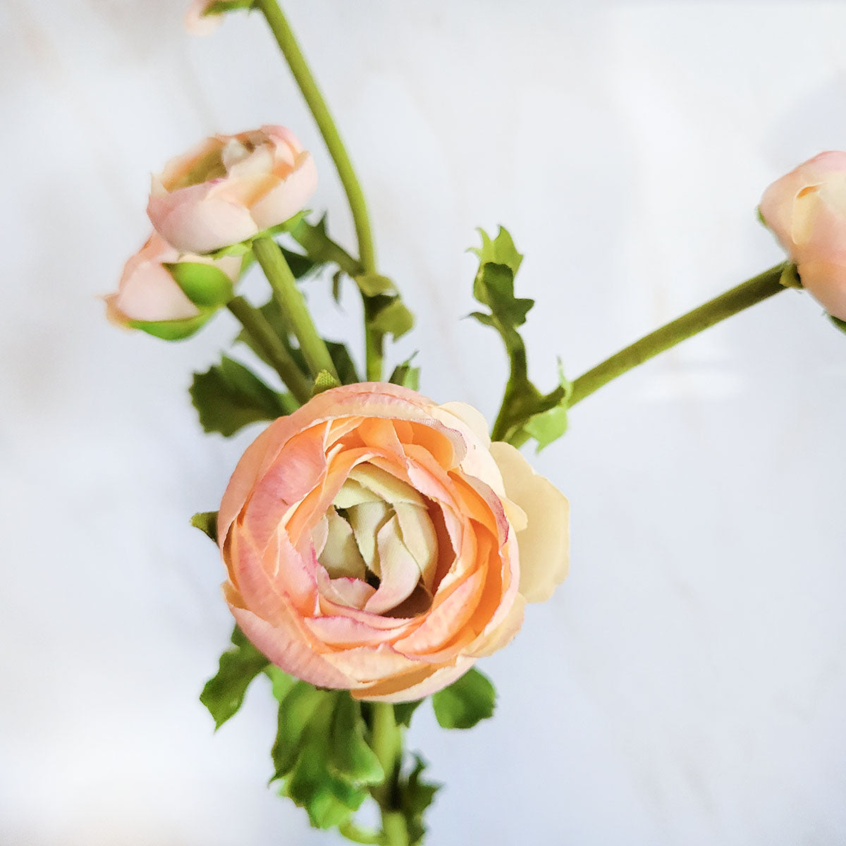 Real Touch Apricot Ranunculus Flower 22"