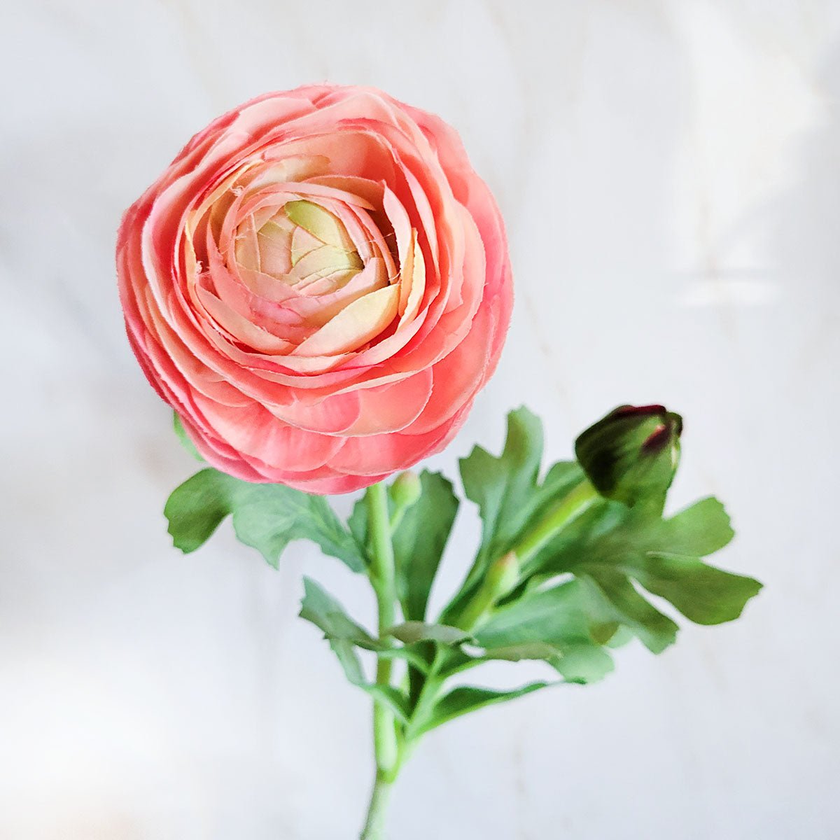 Real Touch Coral Ranunculus Flower 19" - Mossy Moss by Olia