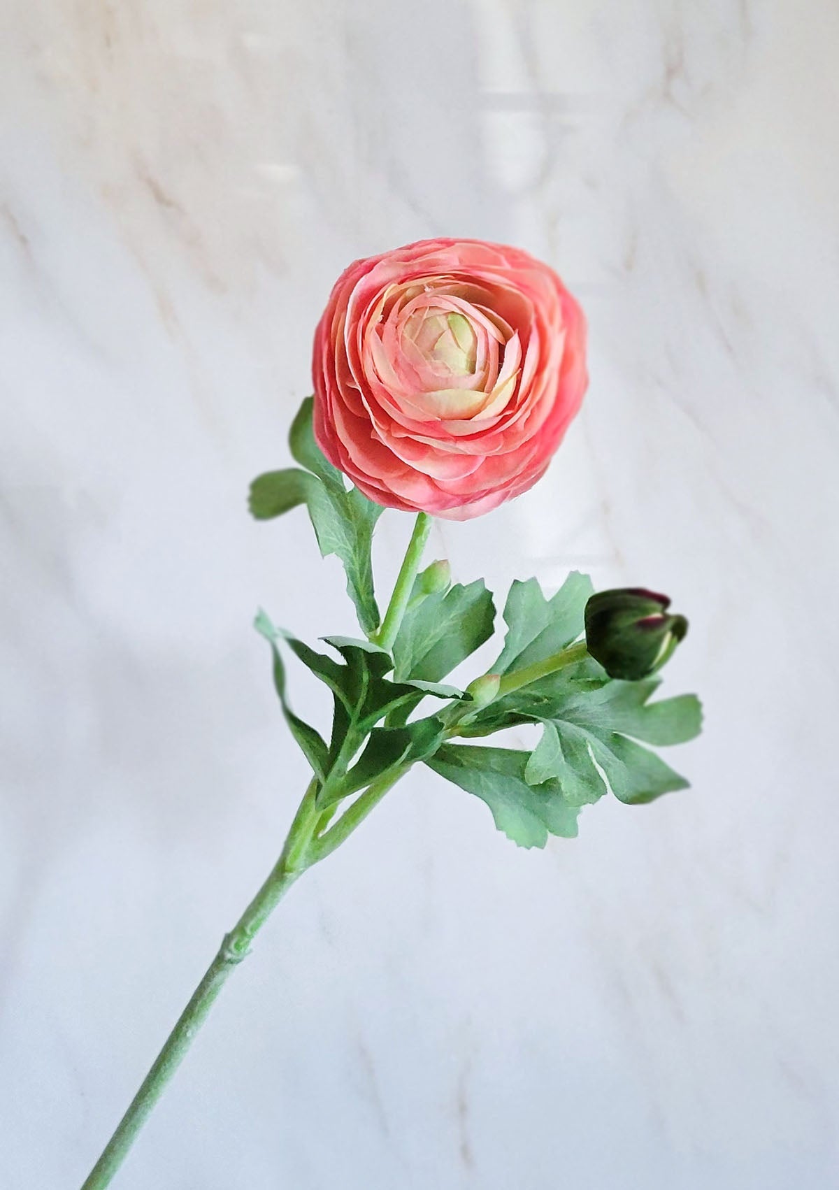 Real Touch Coral Ranunculus Flower 19" - Mossy Moss by Olia