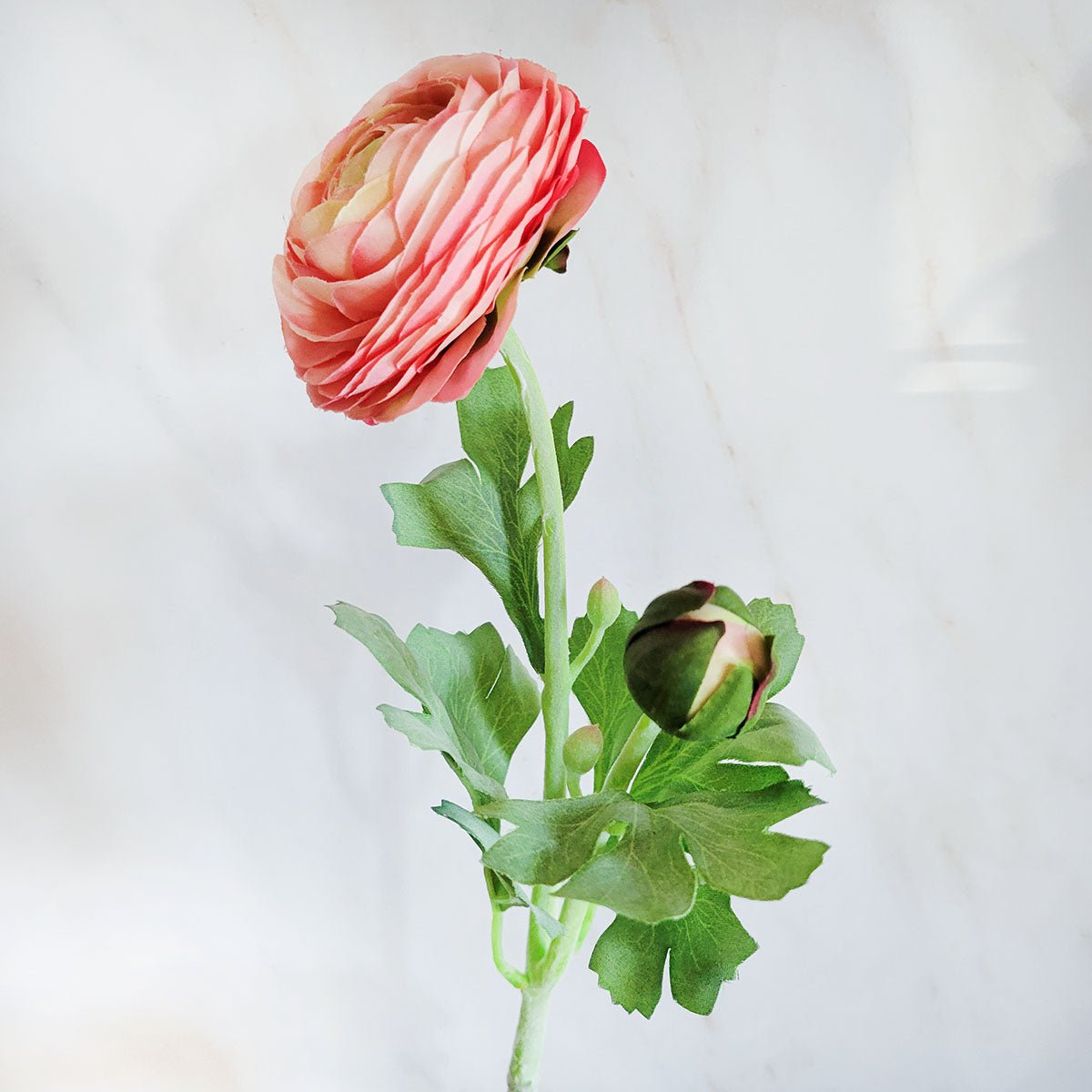 Real Touch Coral Ranunculus Flower 19" - Mossy Moss by Olia