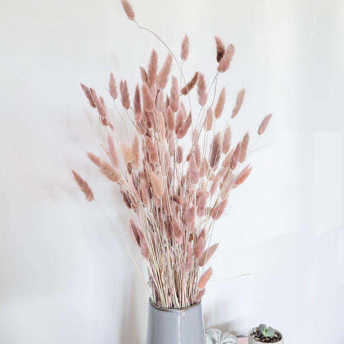 Blush Pink Dried Bunny Tails - Mossy Moss by Olia