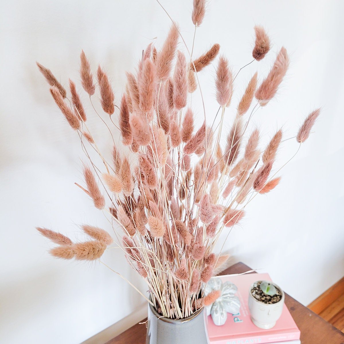 Blush Pink Dried Bunny Tails - Mossy Moss by Olia