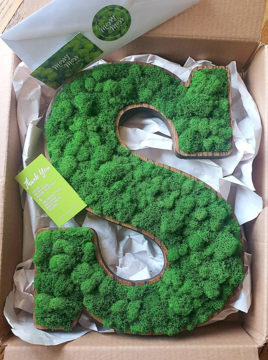 Custom Made Preserved Moss Letters, Quotes & Sayings - Mossy Moss by Olia