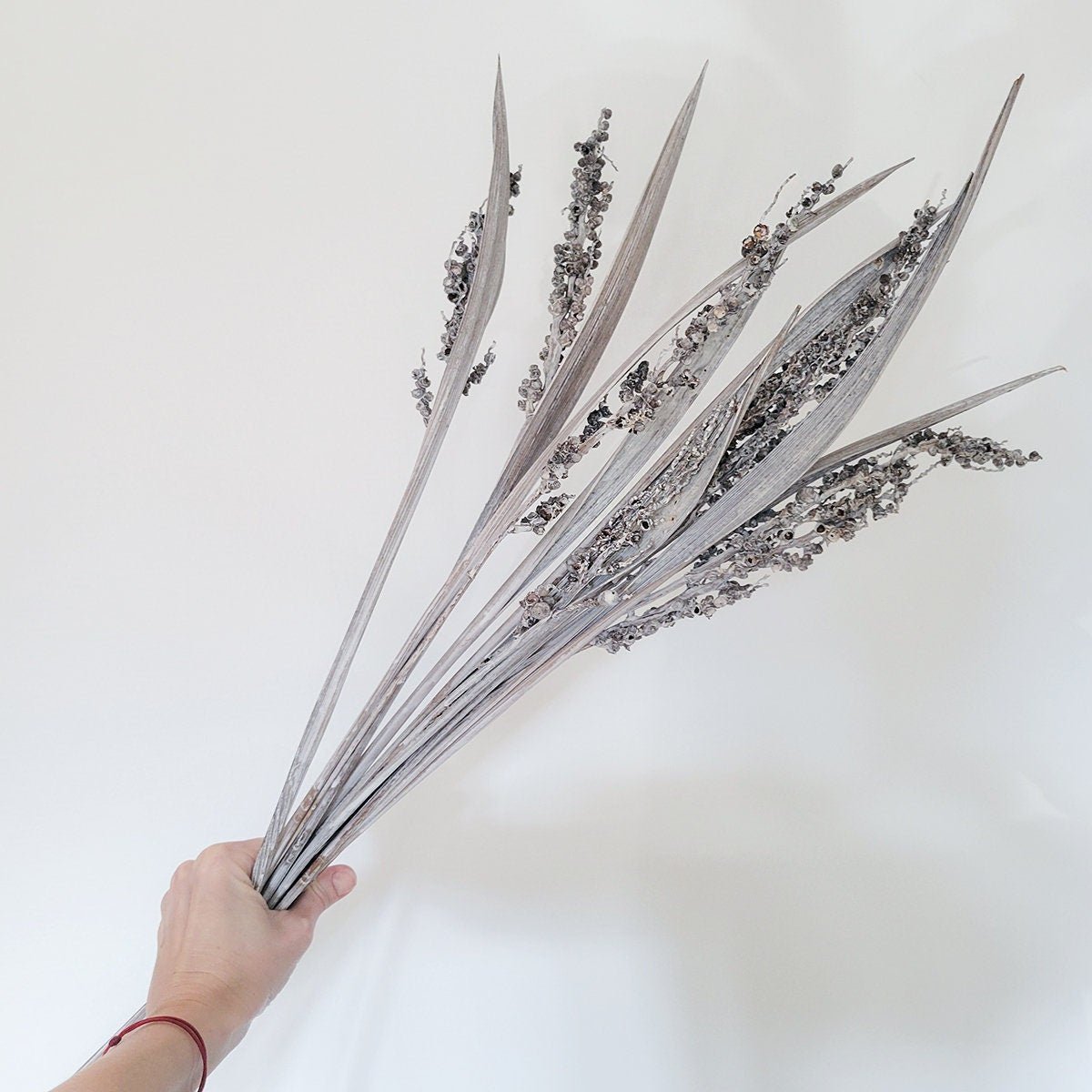 Dried Bahia Spears with Seeds - Mossy Moss by Olia