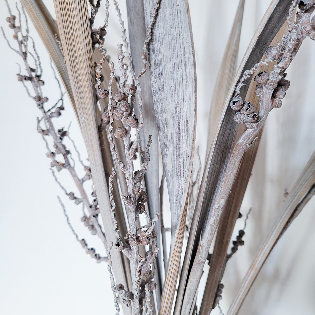 Dried Bahia Spears with Seeds - Mossy Moss by Olia