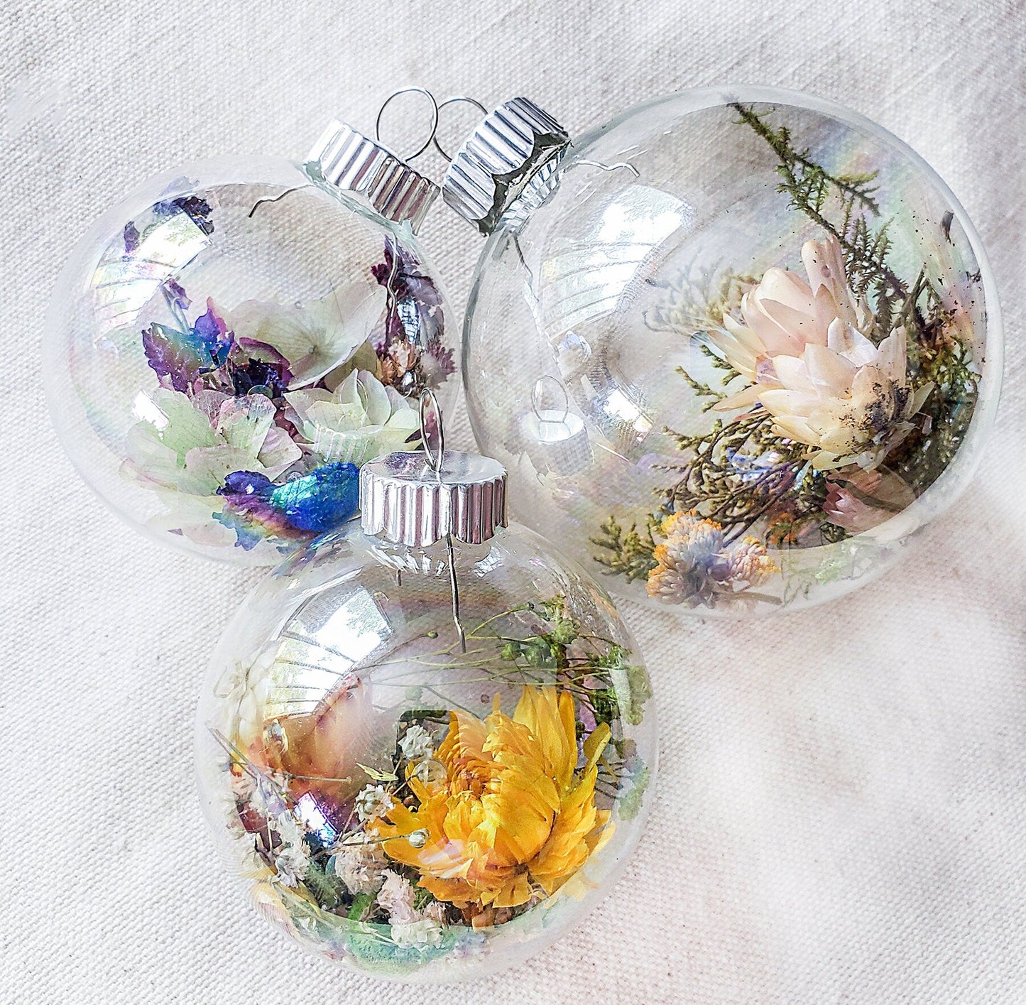 Dried Flowers Christmas Ornaments - Mossy Moss by Olia