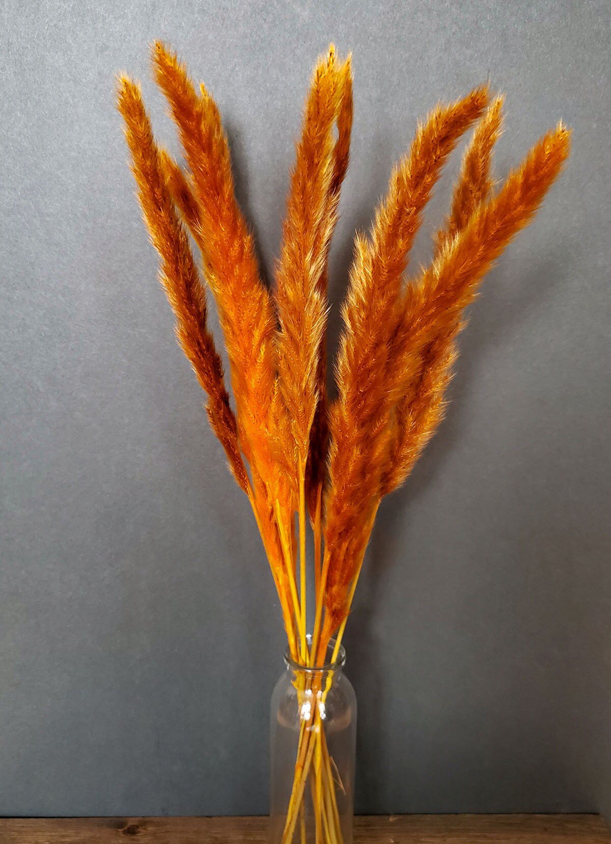 Dried Pampas Orange Saffron Color - Mossy Moss by Olia