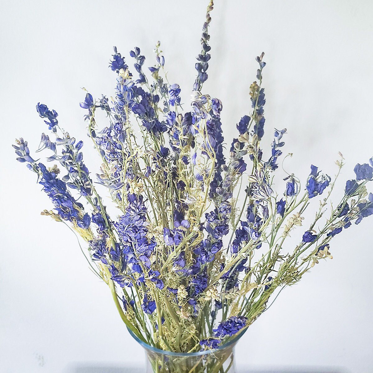 Dried Purple Blue Larkspur - Mossy Moss by Olia