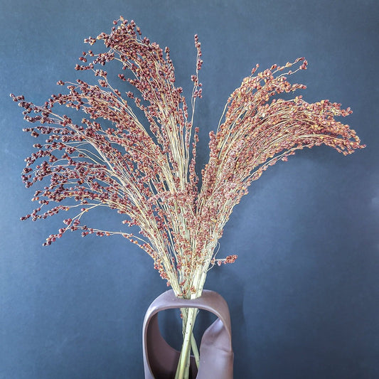 Dried Red Broom Corn - Mossy Moss by Olia